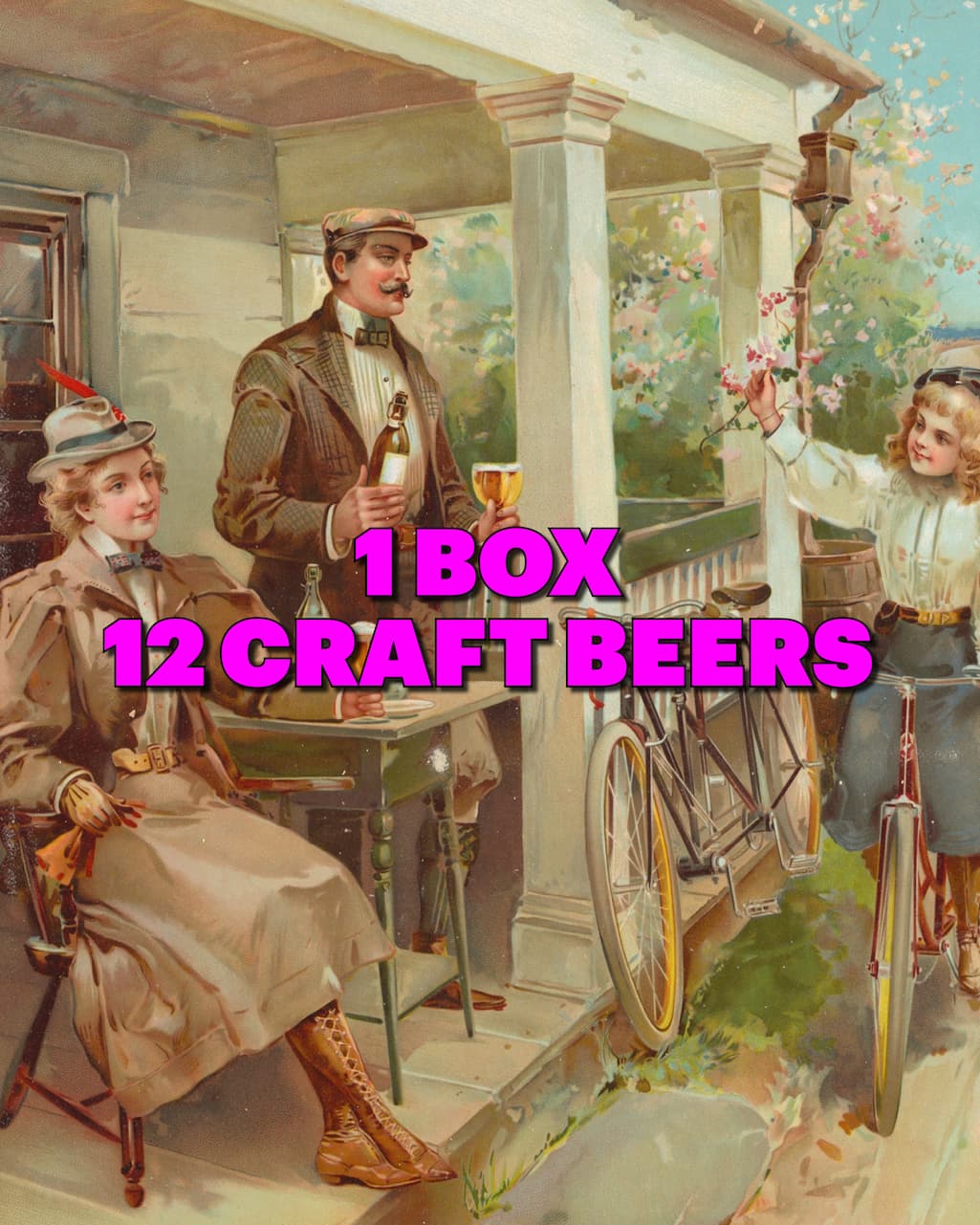 Mixed Box - 12 Craft Beer Favorites