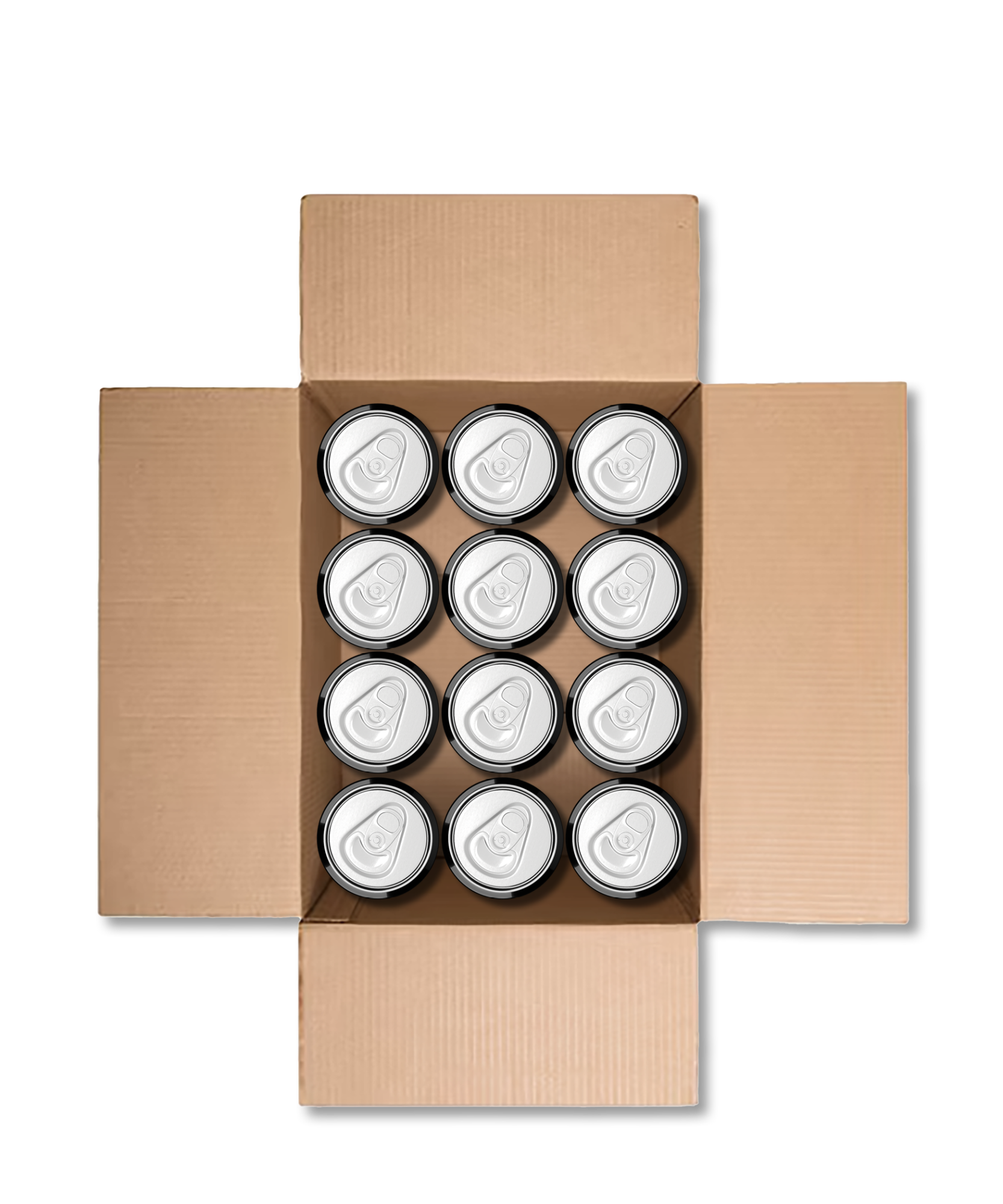 Smagekasse med 12 forskellige craft øl fra Flying Couch