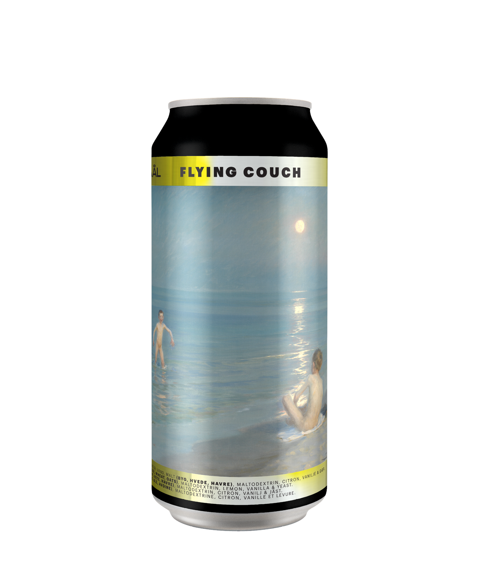 Sour - Koldskaaal - Flying Couch Brewing