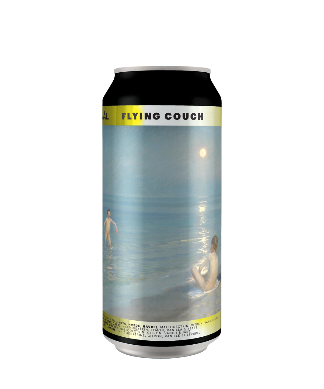 Sour - Koldskaaal - Flying Couch Brewing