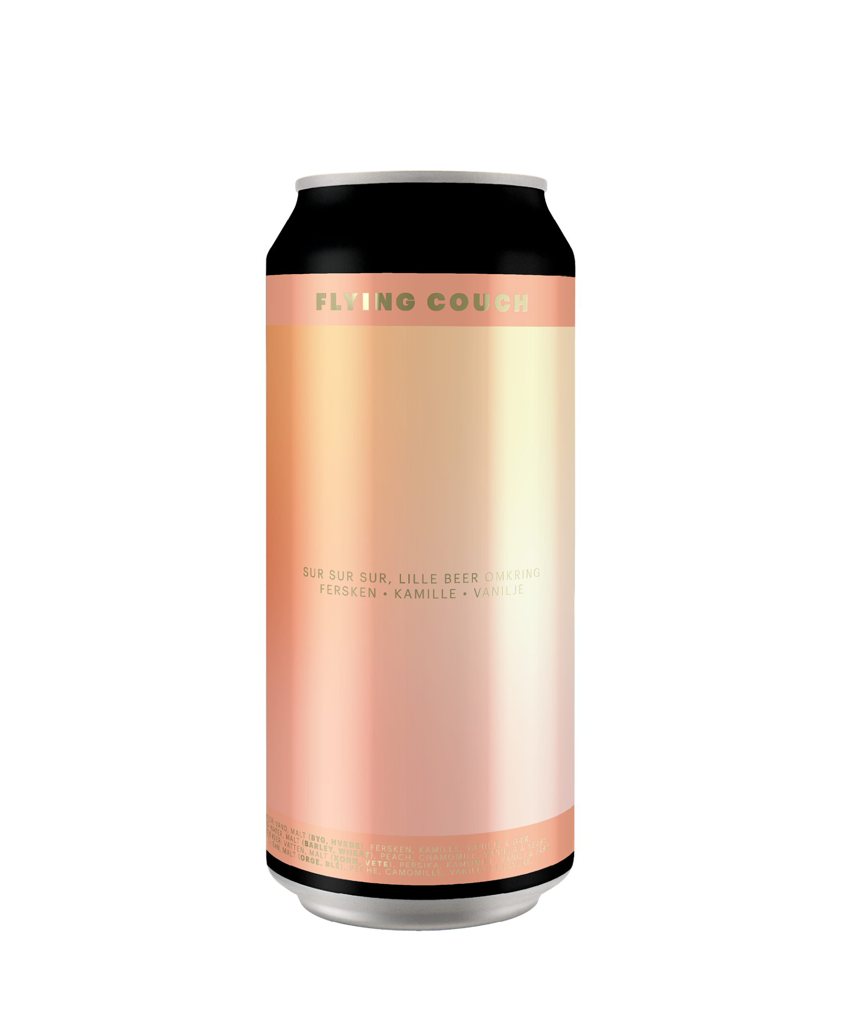 Sour - Sur Sur Sur Lille Beer Omkring - Flying Couch Brewing